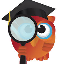 Owl Owl