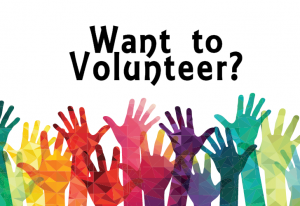  volunteer
