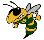 hornet 